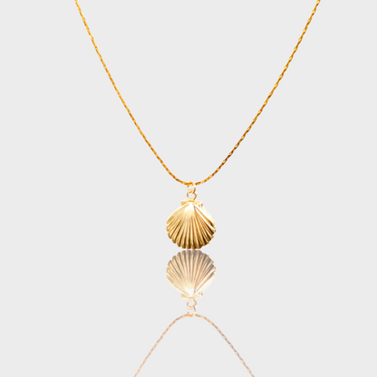 Gold Shell Necklace